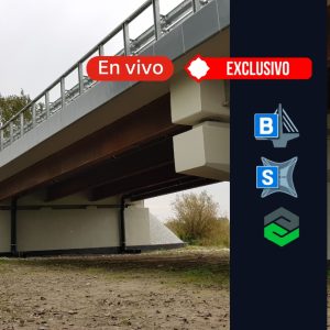 Diseño estructural de PUENTES MIXTOS